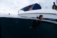 DSC00591.jpg