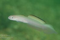 BHB-201308272294.jpg