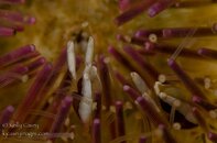 BHB-201308272357.jpg
