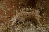 BHB-201309042868.jpg
