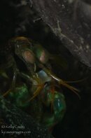BHB-201308272488.jpg