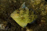 BHB-201309042894.jpg