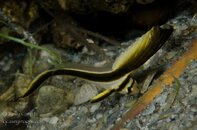 BHB-201309042929.jpg