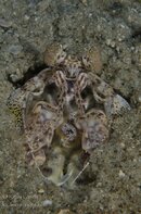 BHB-201309042890.jpg