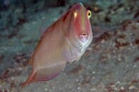 IMG_4504a.jpg