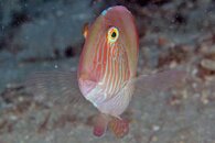 IMG_4506a.jpg