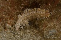 BHB-201309042877.jpg