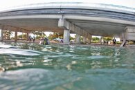 IMG_4521b.jpg