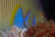 IMG_4777a.jpg