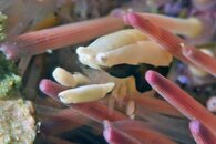 IMG_4869a.jpg