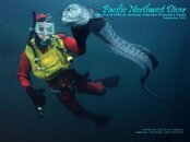 pnw_diver_2013-09_Cover.jpg