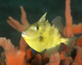 FL_130916_6722_01.jpg