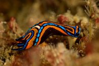 FL_130916_6781_01.jpg