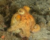 FL_130918_6830.jpg