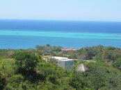IMG_0431.jpg