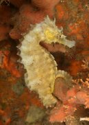 FL_130919_7049.jpg