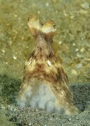 FL_130919_7090.jpg
