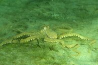FL_130919_7110.jpg