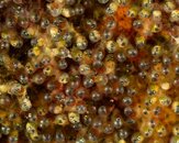FL_130920_7149.jpg