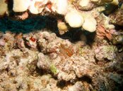 20130901-IMG_3047.jpg