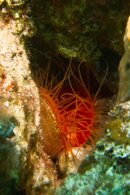 20130822-IMG_3187.jpg