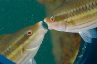 FL_130922_7297.jpg