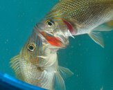 FL_130922_7299.jpg