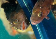 FL_130922_7313.jpg