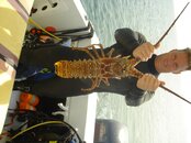 ft pierce 08 005.jpg