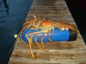 ft pierce 08 011.jpg