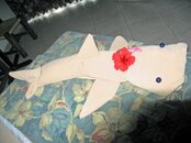 Coz 8-07 Dry-45.jpg