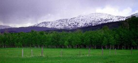 Grand Targhee (small).jpg