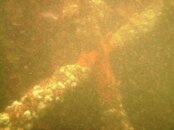 ANCHOR-1.JPG