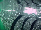 VidCap-04.jpg