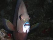 DSCN4497a.jpg