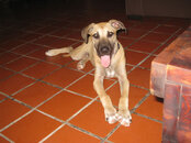 IMG_1590.jpg