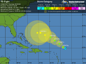 TD8.gif