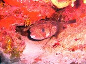 PICT0682.JPG