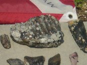 08302008 004.JPG