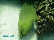 Bonaire 8-29-08 026.jpg
