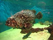 IMG_1882.JPG