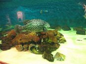 IMG_1889.JPG