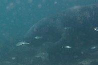 IMG_5387w2.jpg