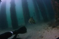 IMG_4990wa.jpg