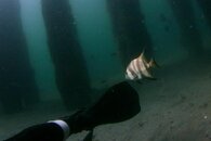 IMG_4991wa.jpg