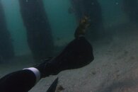 IMG_4993wa.jpg
