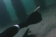 IMG_4995wa spade scratch.jpg