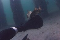 IMG_4998wa.jpg