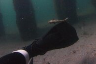 IMG_5006wa.jpg