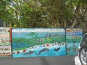 DSCN0265.jpg